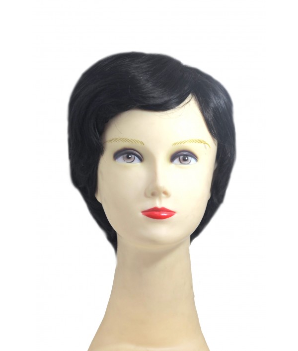 LADIES FASHION HAIR WIG 17